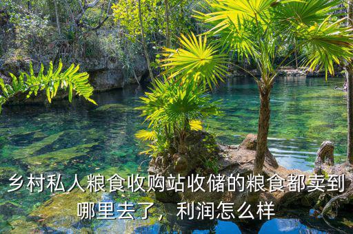 鄉(xiāng)村私人糧食收購站收儲(chǔ)的糧食都賣到哪里去了，利潤(rùn)怎么樣