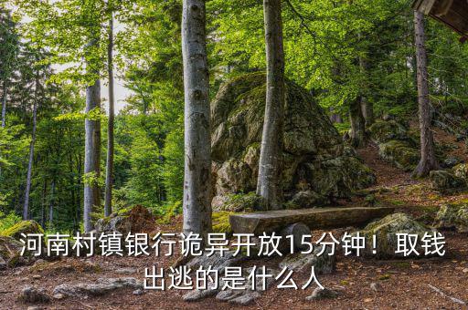 河南村鎮(zhèn)銀行詭異開放15分鐘！取錢出逃的是什么人