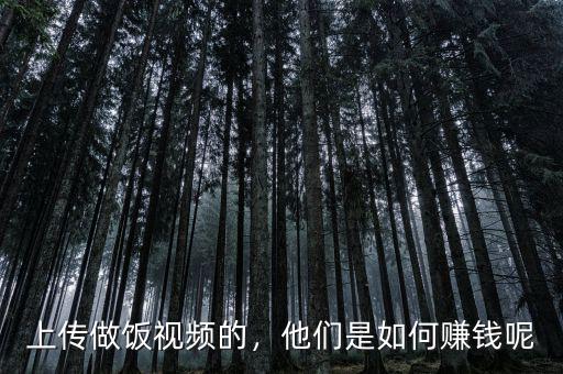 上傳做飯視頻的，他們是如何賺錢呢