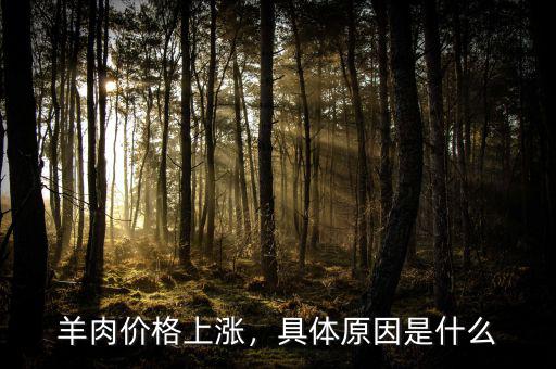 羊肉價格上漲，具體原因是什么