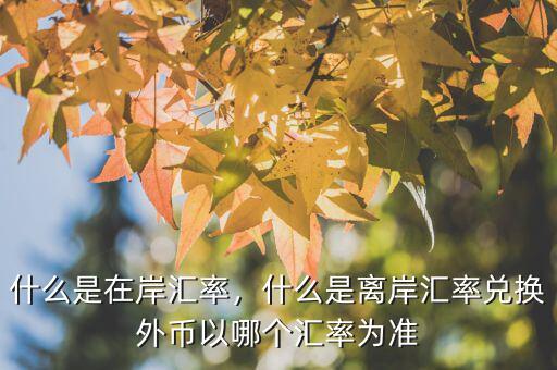 什么是在岸匯率，什么是離岸匯率兌換外幣以哪個(gè)匯率為準(zhǔn)