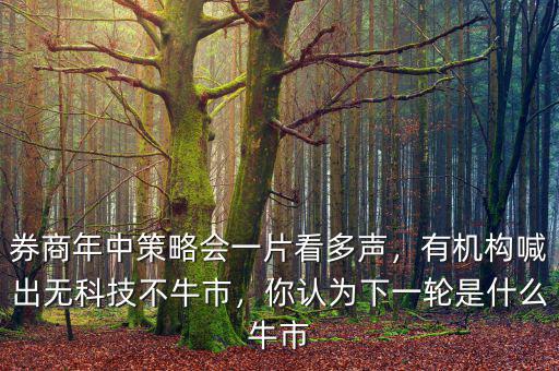 券商年中策略會一片看多聲，有機(jī)構(gòu)喊出無科技不牛市，你認(rèn)為下一輪是什么牛市