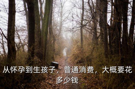 從懷孕到生孩子，普通消費(fèi)，大概要花多少錢