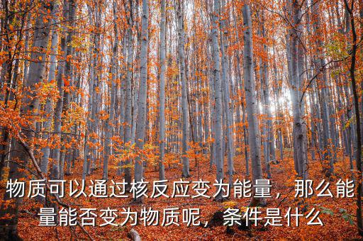 物質(zhì)可以通過核反應(yīng)變?yōu)槟芰浚敲茨芰磕芊褡優(yōu)槲镔|(zhì)呢，條件是什么