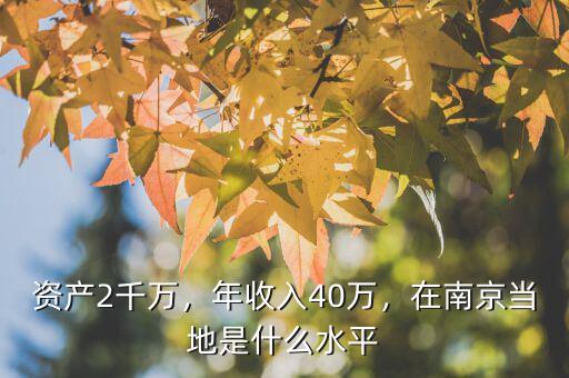 資產(chǎn)2千萬，年收入40萬，在南京當(dāng)?shù)厥鞘裁此? class=