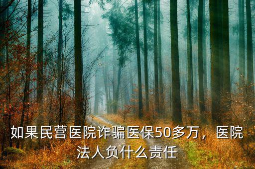 如果民營醫(yī)院詐騙醫(yī)保50多萬，醫(yī)院法人負(fù)什么責(zé)任