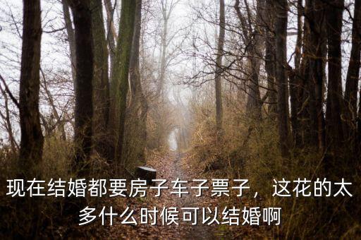 現(xiàn)在結(jié)婚都要房子車子票子，這花的太多什么時候可以結(jié)婚啊