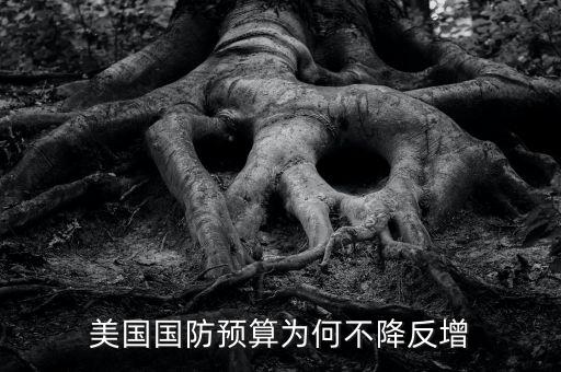 美國有多少項預(yù)算法律,美國欠聯(lián)合國會費(fèi)有多少錢了