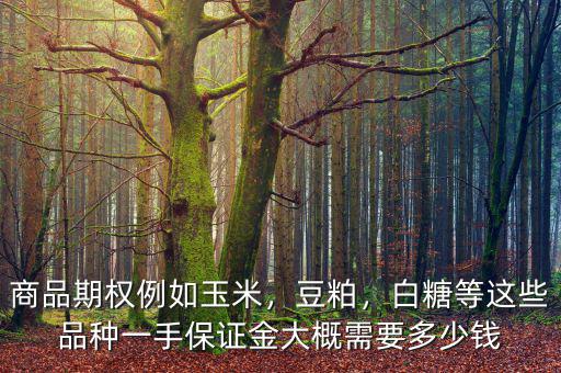 商品期權(quán)例如玉米，豆粕，白糖等這些品種一手保證金大概需要多少錢
