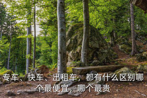 專車、快車、出租車，都有什么區(qū)別哪個(gè)最便宜，哪個(gè)最貴