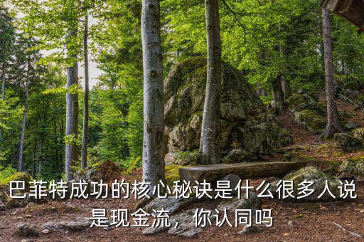 巴菲特成功的核心秘訣是什么很多人說(shuō)是現(xiàn)金流，你認(rèn)同嗎