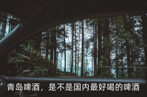 青島啤酒，是不是國內(nèi)最好喝的啤酒