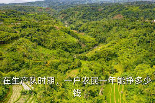 在生產(chǎn)隊時期，一戶農(nóng)民一年能掙多少錢