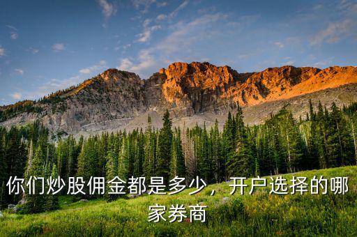 你們炒股傭金都是多少，開戶選擇的哪家券商