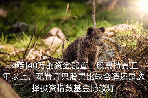 30到40萬的資金配置，股票持有五年以上，配置幾只股票比較合適還是選擇投資指數(shù)基金比較好