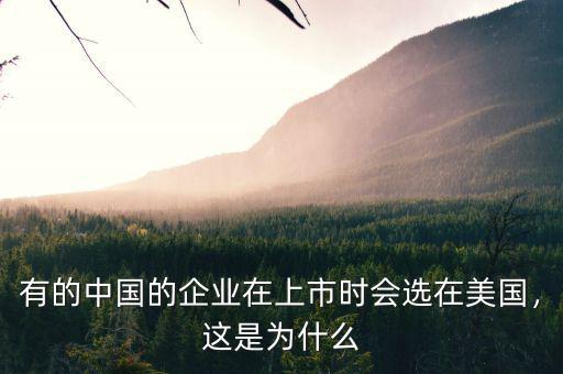 有的中國的企業(yè)在上市時會選在美國，這是為什么