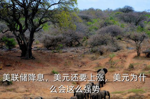 美聯(lián)儲降息，美元還要上漲，美元為什么會這么強勢