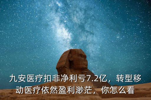 九安醫(yī)療扣非凈利虧7.2億，轉(zhuǎn)型移動(dòng)醫(yī)療依然盈利渺茫，你怎么看
