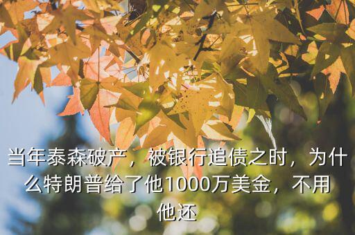 當(dāng)年泰森破產(chǎn)，被銀行追債之時(shí)，為什么特朗普給了他1000萬美金，不用他還