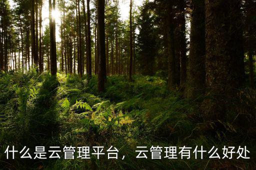 什么是云管理平臺(tái)，云管理有什么好處