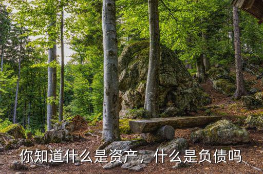 你知道什么是資產(chǎn)，什么是負(fù)債嗎