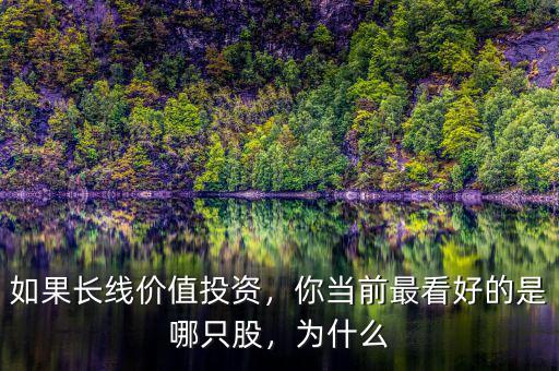 如果長(zhǎng)線價(jià)值投資，你當(dāng)前最看好的是哪只股，為什么