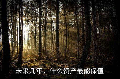 未來幾年，什么資產(chǎn)最能保值