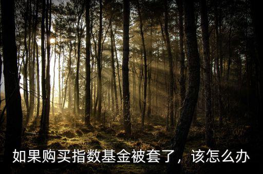 如果購(gòu)買指數(shù)基金被套了，該怎么辦