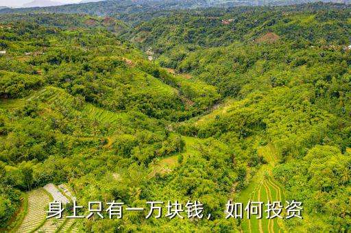 身上只有一萬塊錢，如何投資