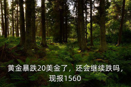 黃金暴跌20美金了，還會(huì)繼續(xù)跌嗎，現(xiàn)報(bào)1560
