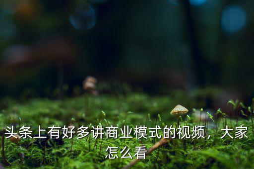頭條上有好多講商業(yè)模式的視頻，大家怎么看