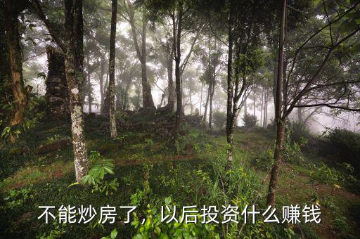 不能炒房了，以后投資什么賺錢