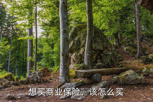 想買商業(yè)保險，該怎么買