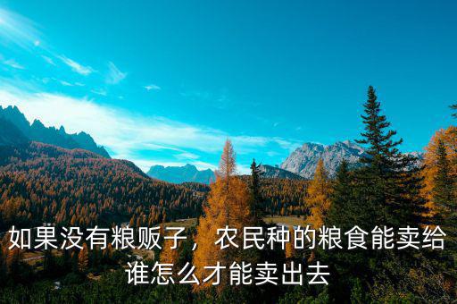 如果沒有糧販子，農(nóng)民種的糧食能賣給誰怎么才能賣出去