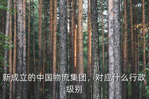 新成立的中國物流集團(tuán)，對應(yīng)什么行政級別
