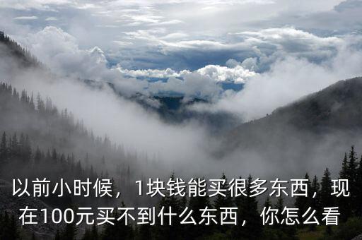 以前小時(shí)候，1塊錢能買很多東西，現(xiàn)在100元買不到什么東西，你怎么看