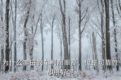 為什么豐田的車利潤率高，但是可靠性卻很好呢