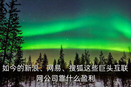 如今的新浪、網(wǎng)易、搜狐這些巨頭互聯(lián)網(wǎng)公司靠什么盈利