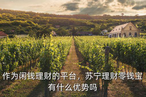 作為閑錢理財(cái)?shù)钠脚_(tái)，蘇寧理財(cái)零錢寶有什么優(yōu)勢(shì)嗎