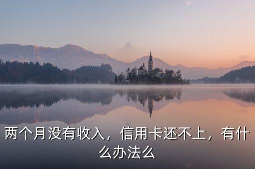 兩個月沒有收入，信用卡還不上，有什么辦法么