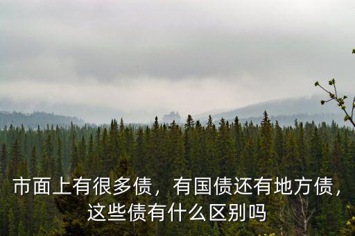 市面上有很多債，有國債還有地方債，這些債有什么區(qū)別嗎