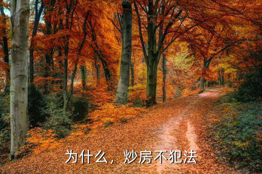 為什么，炒房不犯法
