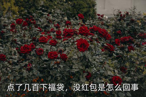 點了幾百下福袋，沒紅包是怎么回事