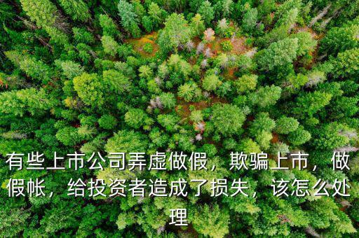有些上市公司弄虛做假，欺騙上市，做假帳，給投資者造成了損失，該怎么處理