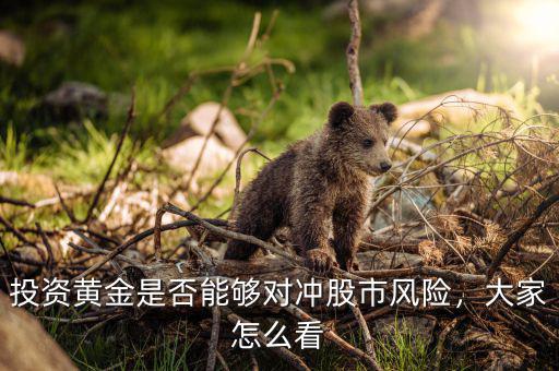 投資黃金是否能夠?qū)_股市風(fēng)險，大家怎么看