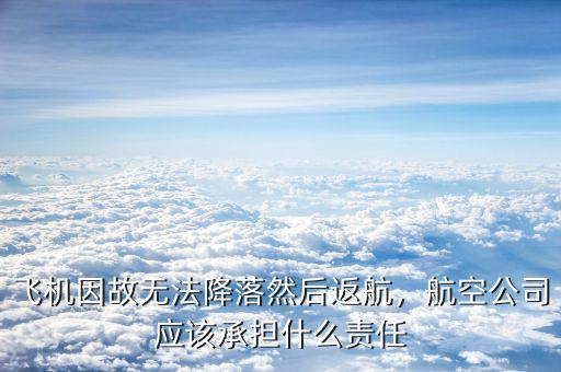 飛機因故無法降落然后返航，航空公司應(yīng)該承擔(dān)什么責(zé)任
