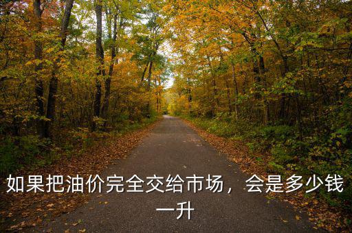 如果把油價(jià)完全交給市場，會(huì)是多少錢一升