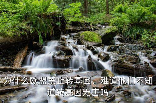 為什么歐盟禁止轉(zhuǎn)基因，難道他們不知道轉(zhuǎn)基因無(wú)害嗎