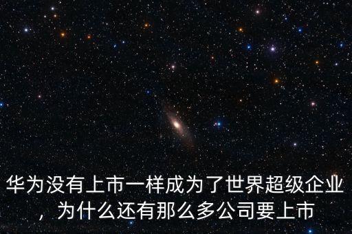 華為沒有上市一樣成為了世界超級企業(yè)，為什么還有那么多公司要上市