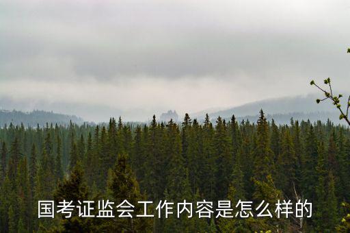 國考證監(jiān)會工作內容是怎么樣的